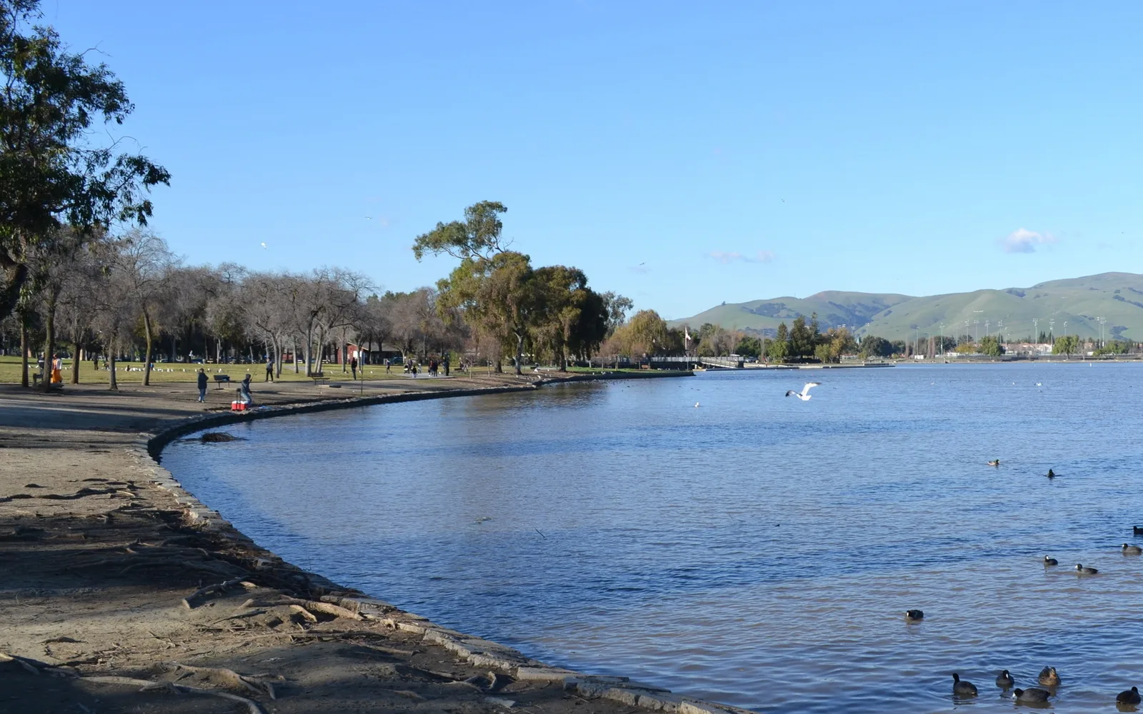 Lake Elizabeth in Fremont Central Park, a recreation area in a working-class East Bay community with water and green landscaping